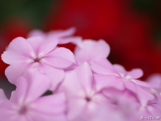 426323 (a): :1600x1200